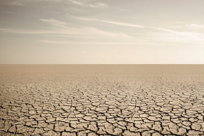 Break the Dry Skin Cycle: Science-Backed Solutions