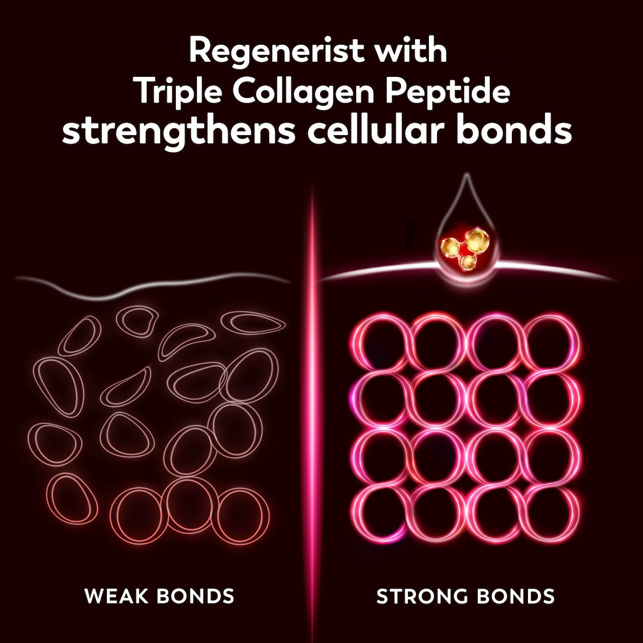 Graphics showing weak and strong cellular bonds. Regenerist with Triple Collagen Peptide strengthens cellular bonds. Graphics showing weak and strong cellular bonds. Regenerist with Triple Collagen Peptide strengthens cellular bonds.