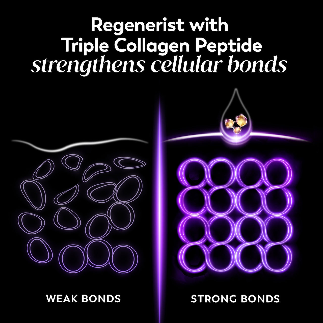 Graphics showing weak and strong cellular bonds. Regenerist with Triple Collagen Peptide strengthens cellular bonds. Graphics showing weak and strong cellular bonds. Regenerist with Triple Collagen Peptide strengthens cellular bonds.