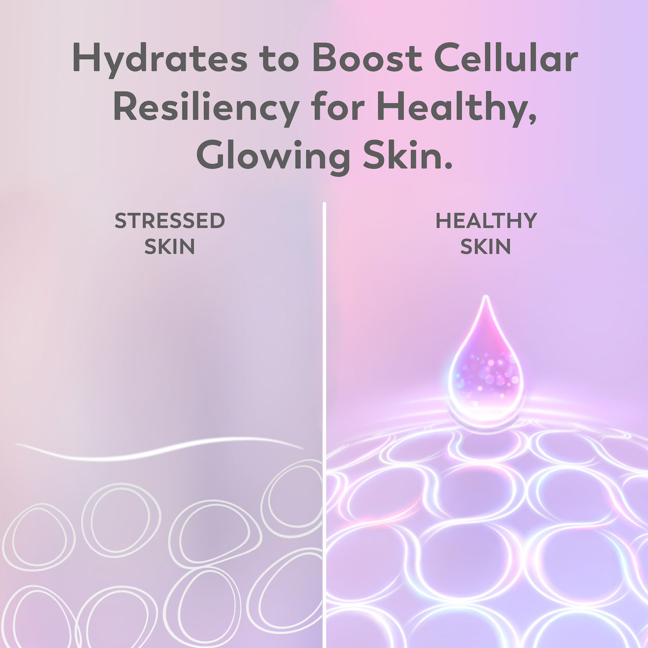 Graphics of stressed skin and healthy skin side by side. Hydrates to boost resiliency for healthy, glowing skin. Graphics of stressed skin and healthy skin side by side. Hydrates to boost resiliency for healthy, glowing skin.