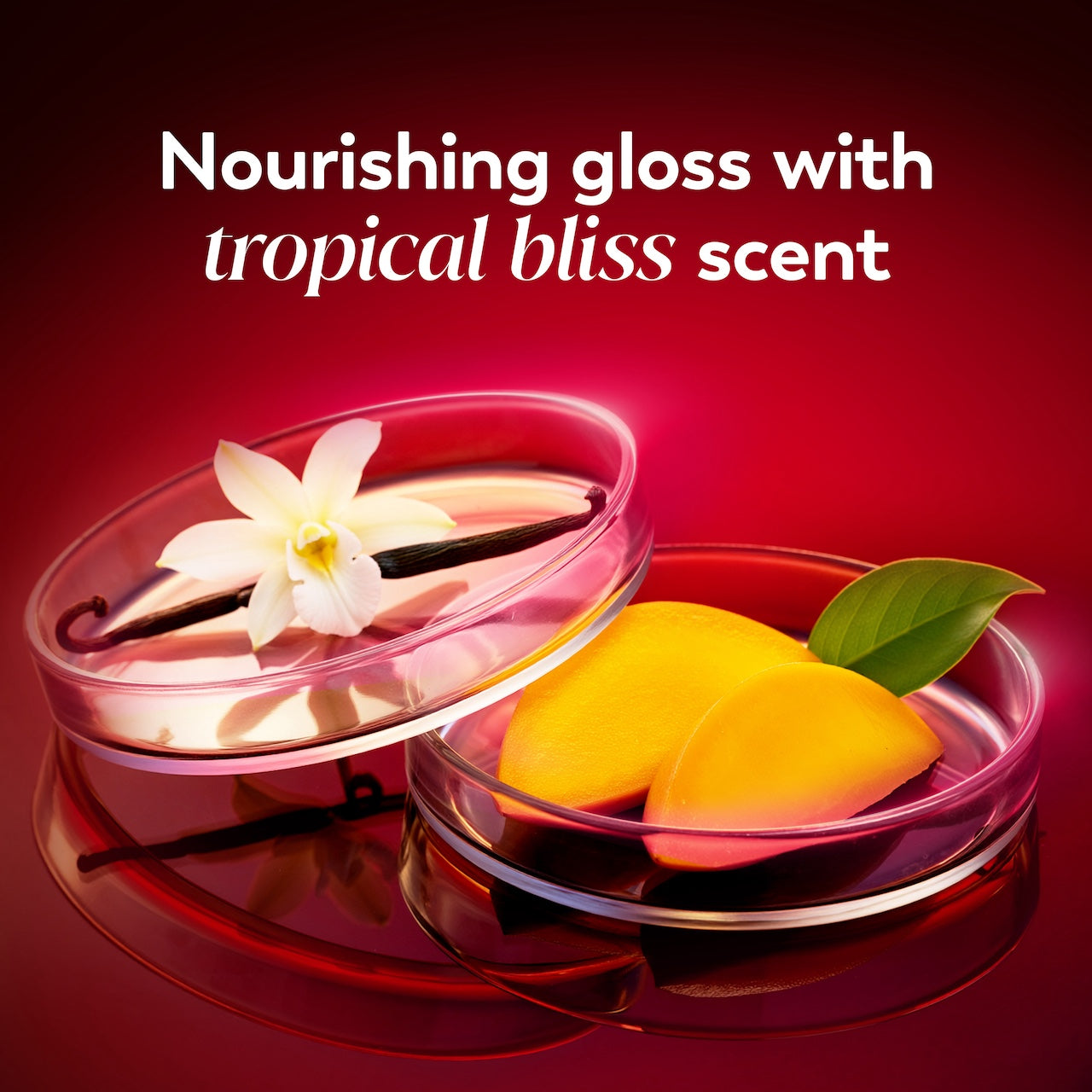 Ingredients. Nourishing gloss with tropical bliss scent Ingredients. Nourishing gloss with tropical bliss scent