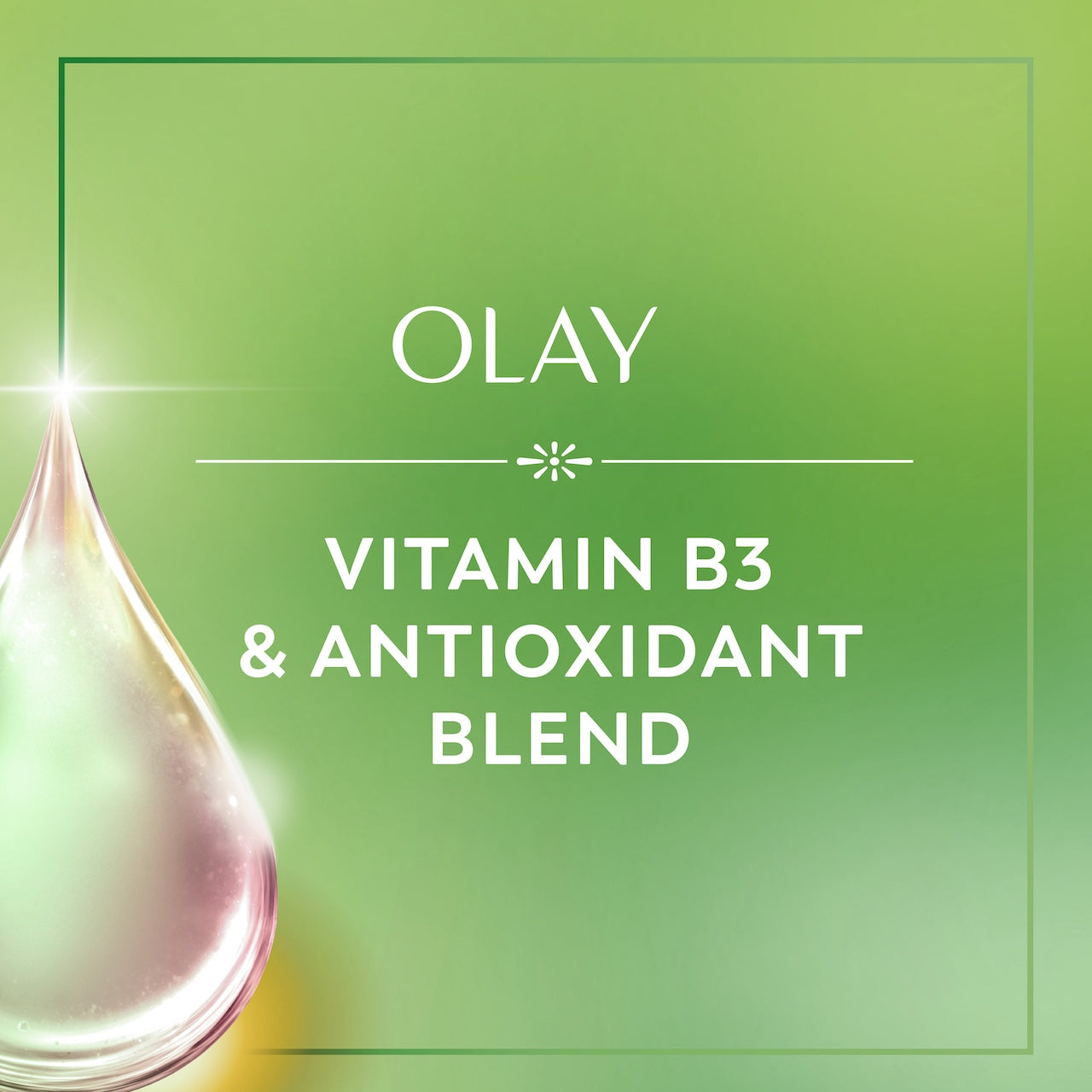 Vitamin B3 and antioxidant blend Vitamin B3 and antioxidant blend