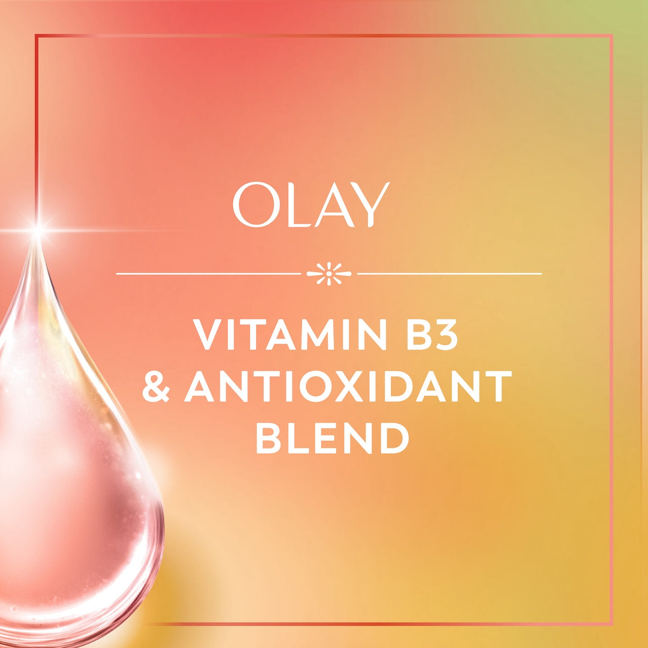 Vitamin B3 and antioxidant blend Vitamin B3 and antioxidant blend