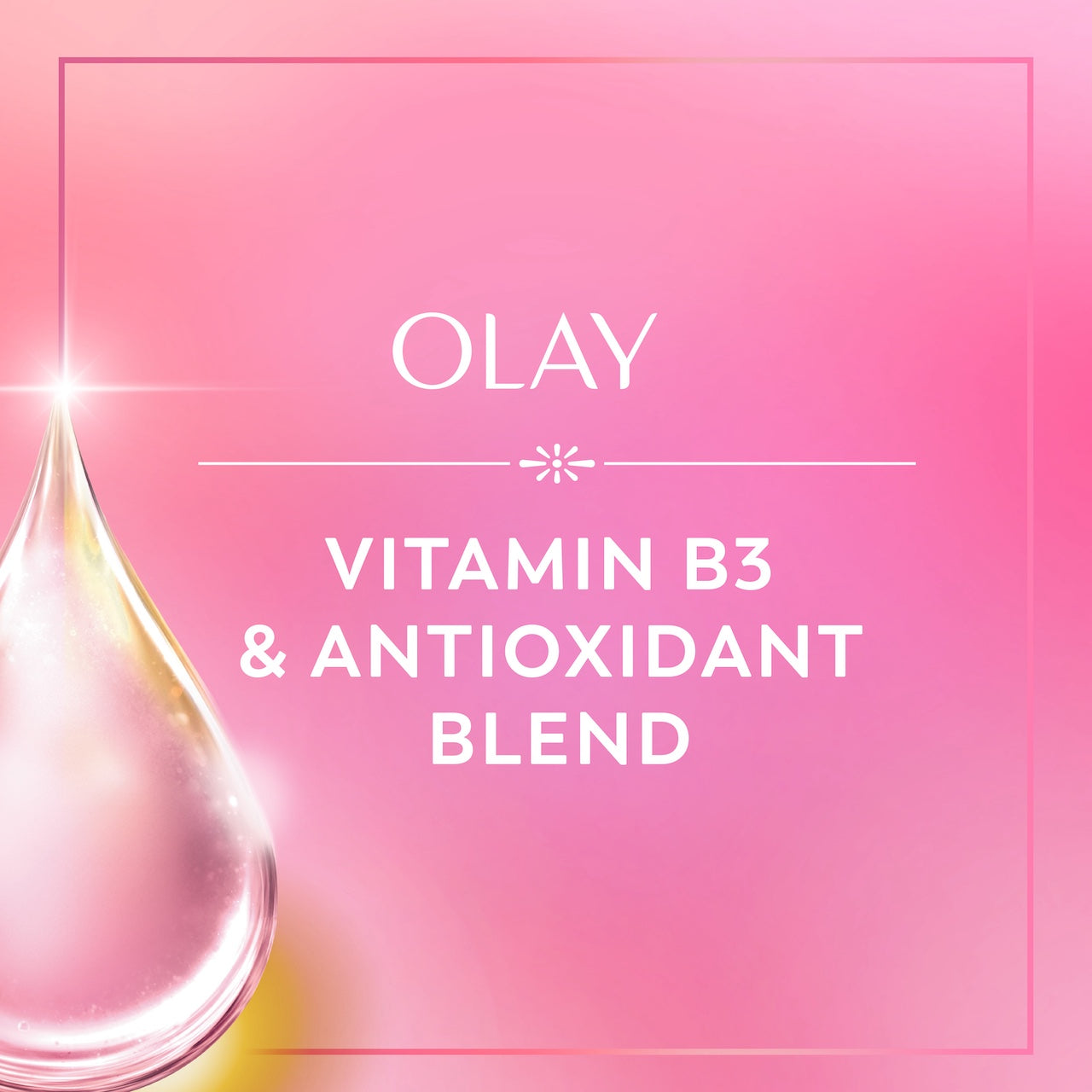 Vitamin B3 and antioxidant blend Vitamin B3 and antioxidant blend