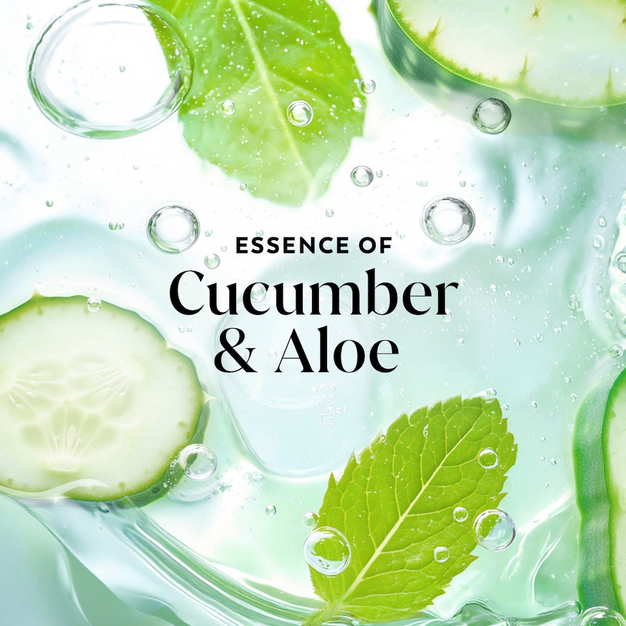 cucumber and leaves in water. Essence of cucumber and aloe cucumber and leaves in water. Essence of cucumber and aloe