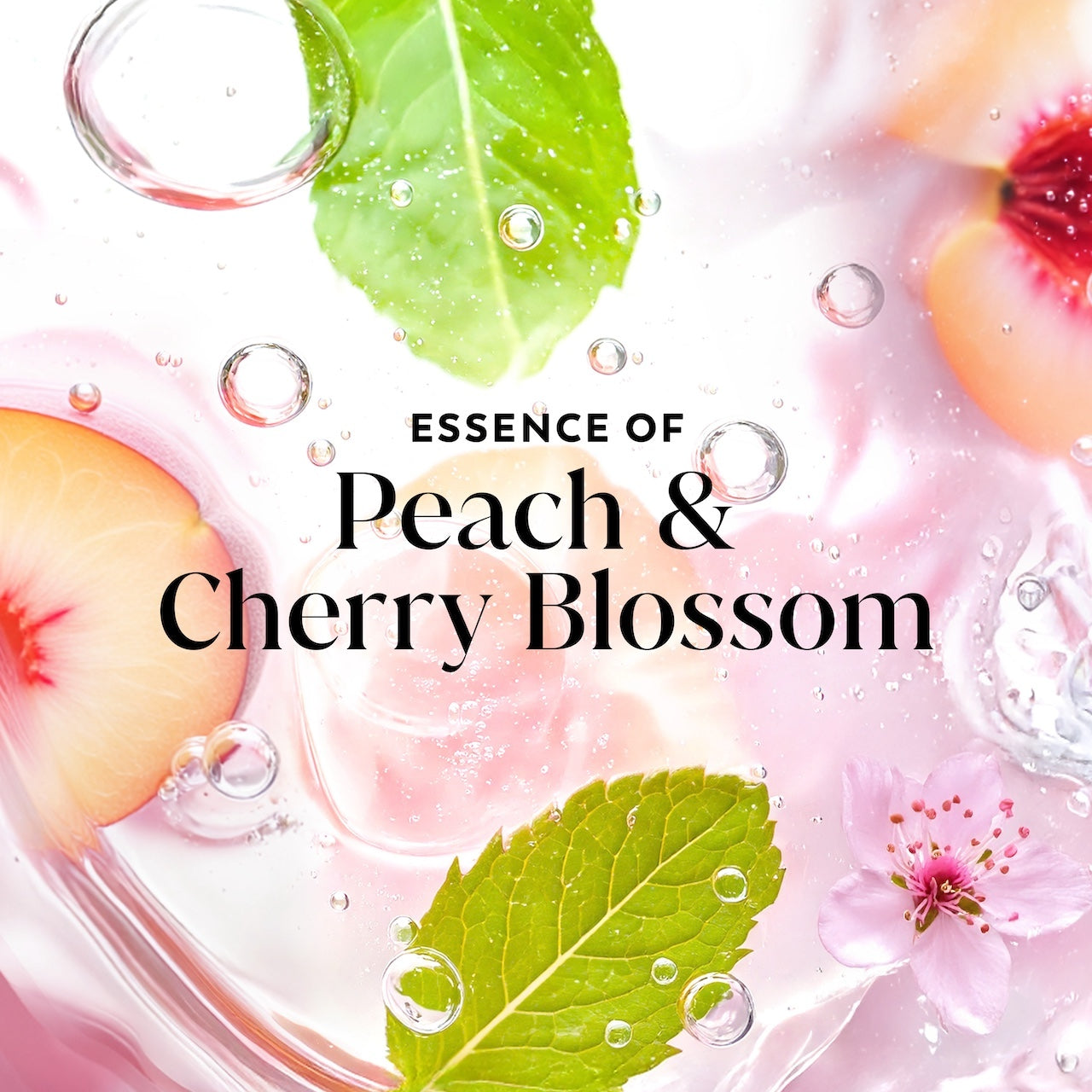 Leaves and peaches in water. Essence of Peach and Cherry Blossom Leaves and peaches in water. Essence of Peach and Cherry Blossom
