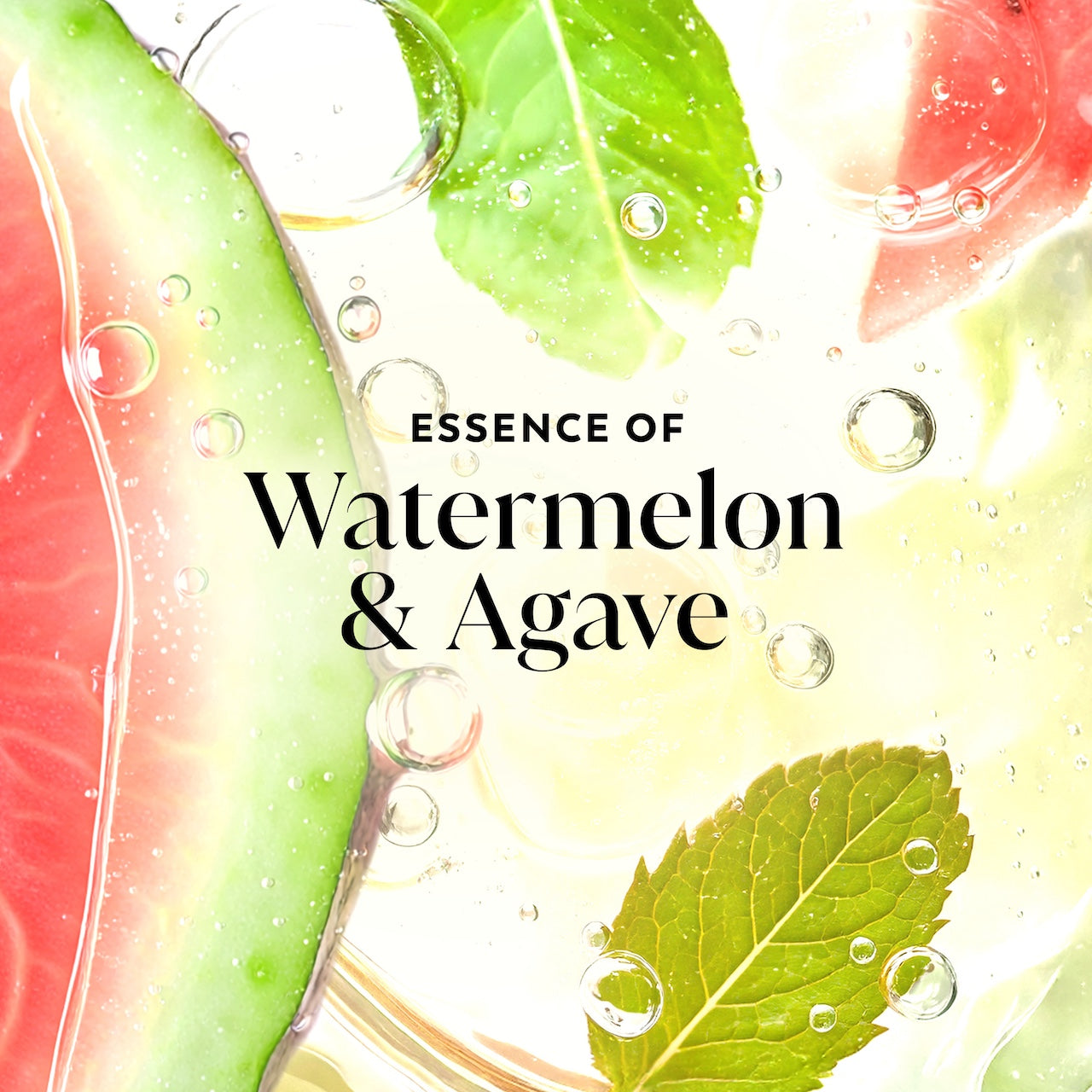 Watermelon and leaves in water. Essence of watermelon and agave Watermelon and leaves in water. Essence of watermelon and agave