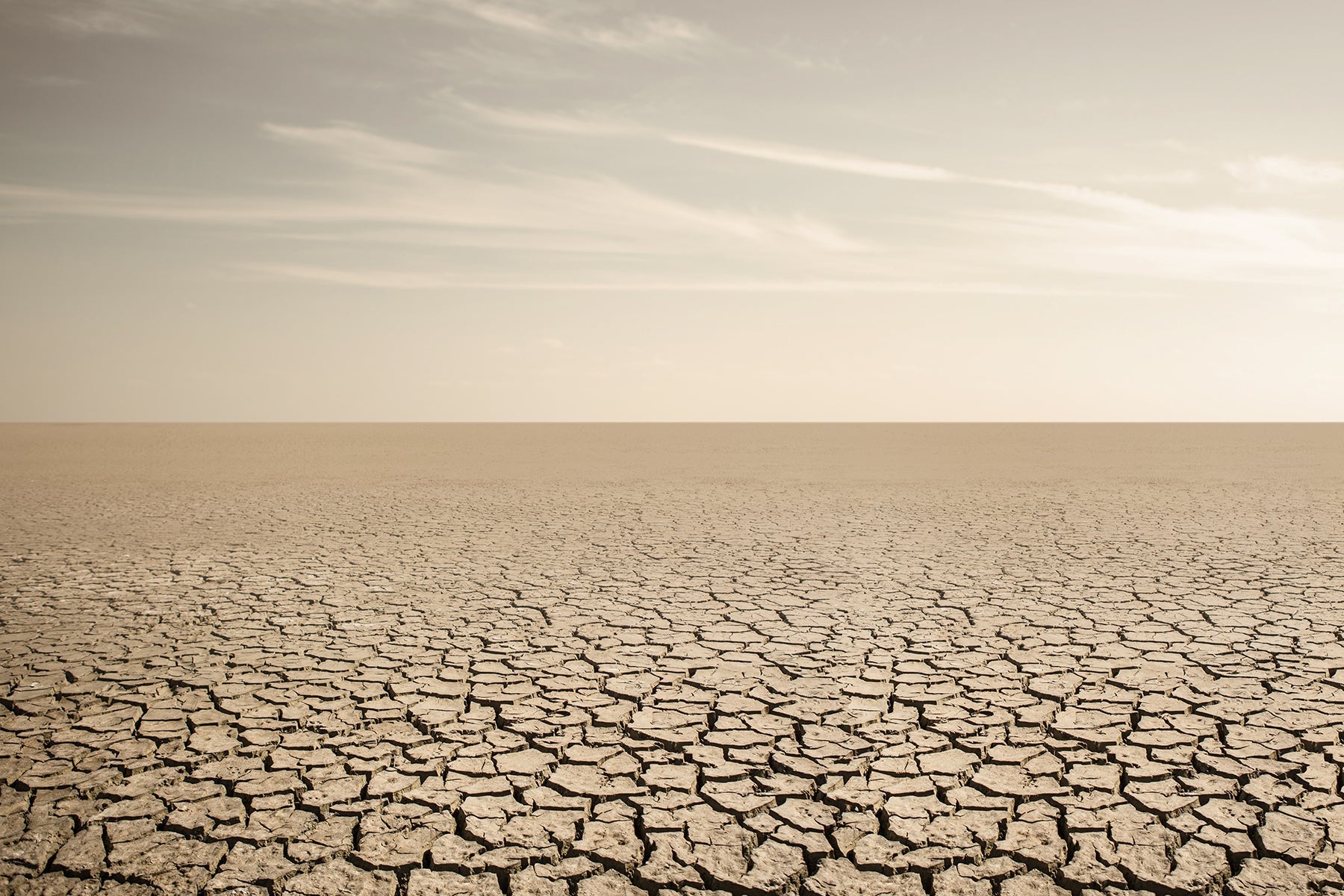 Break the Dry Skin Cycle: Science-Backed Solutions