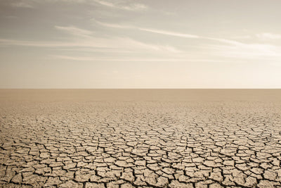 Break the Dry Skin Cycle: Science-Backed Solutions