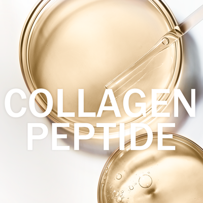 All About Collagen Peptides