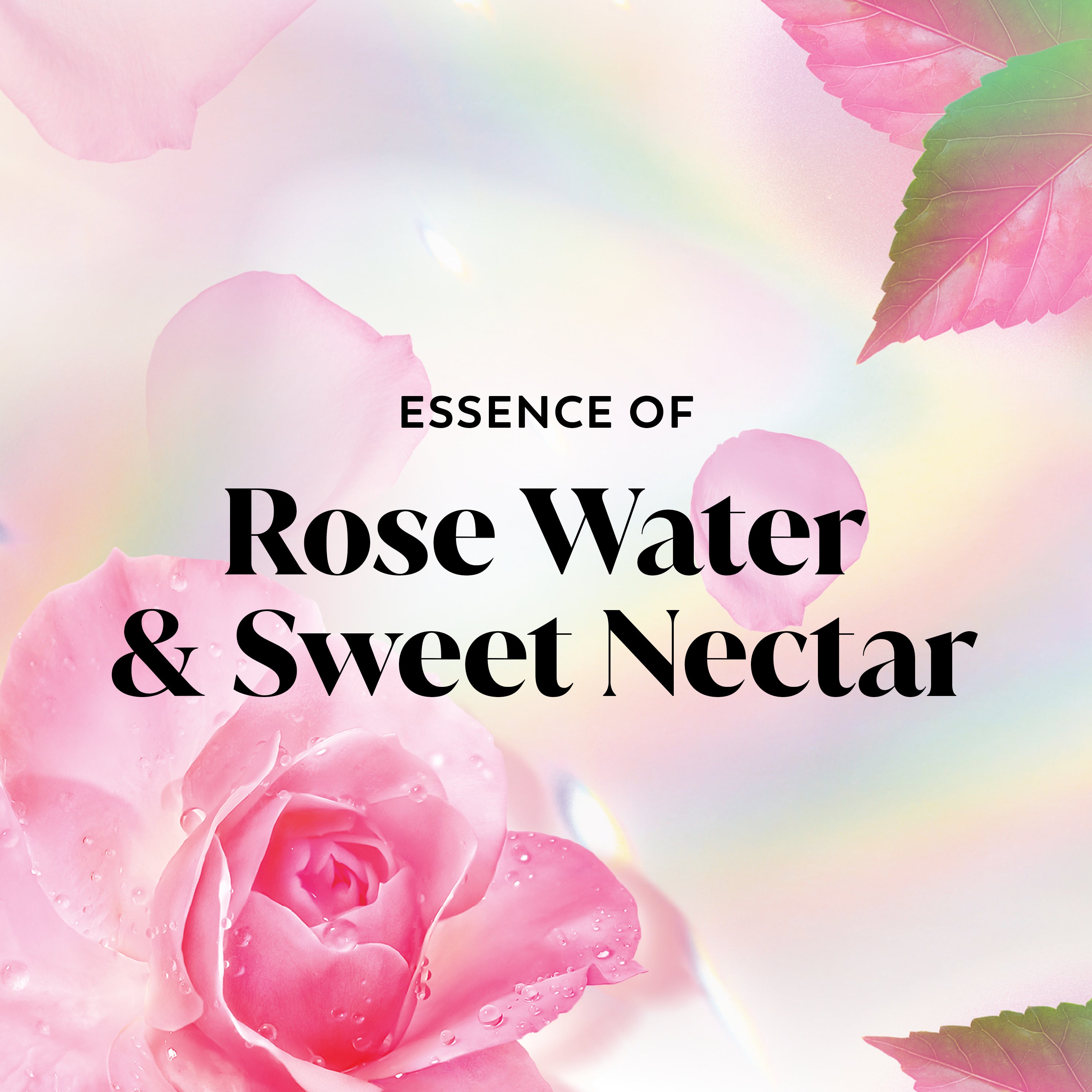 Essence of Rose Water and Sweet Nectar