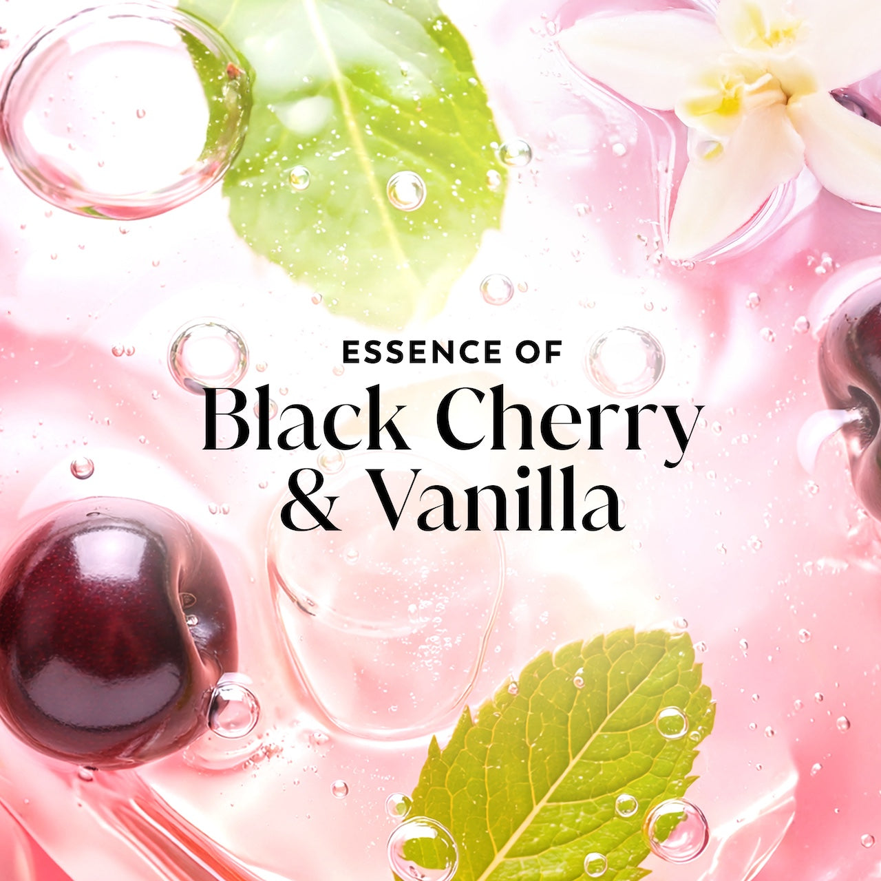 Cherries and leaves in water. Essence of black cherry and vanilla