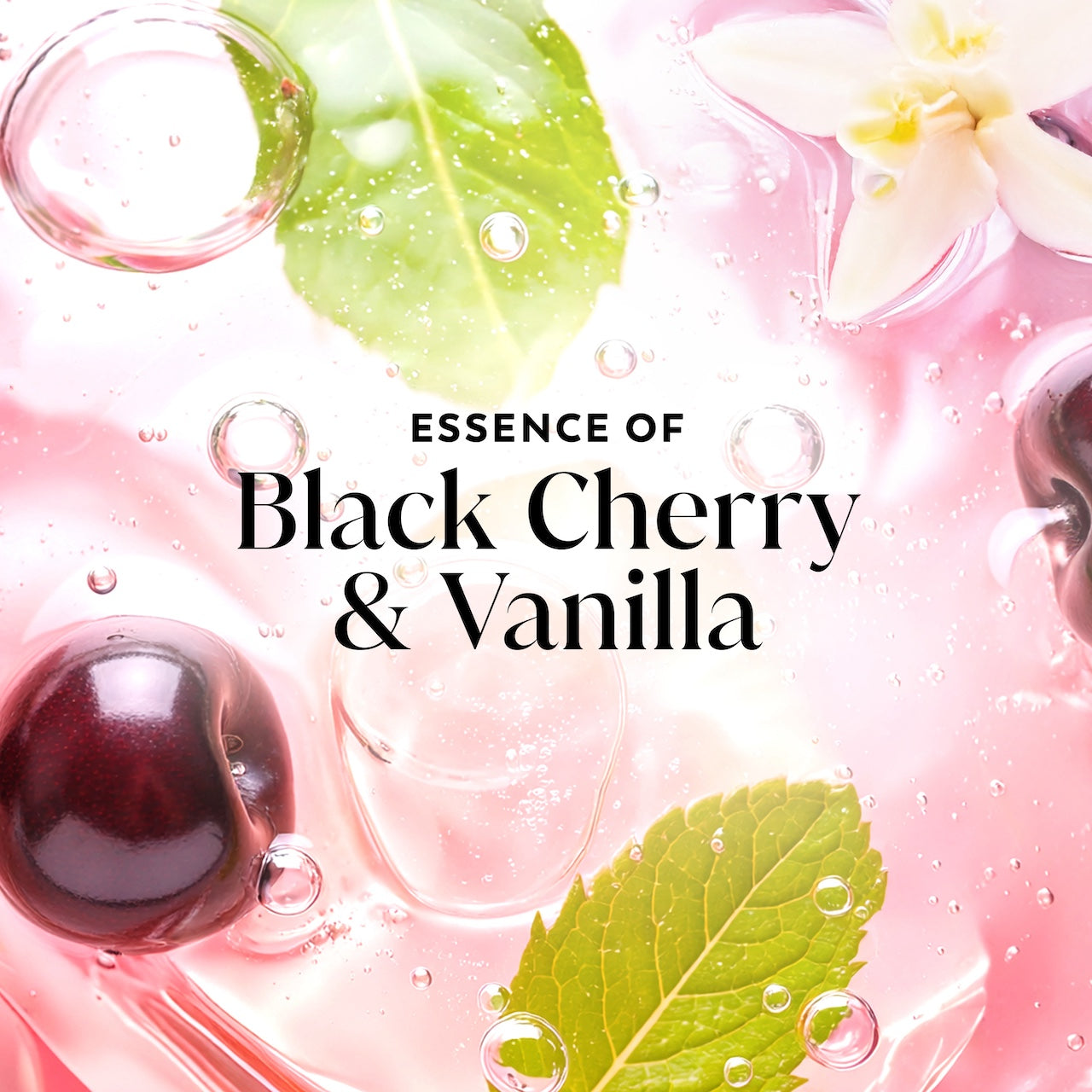 Cherries and leaves in water. Essence of black cherry and vanilla
