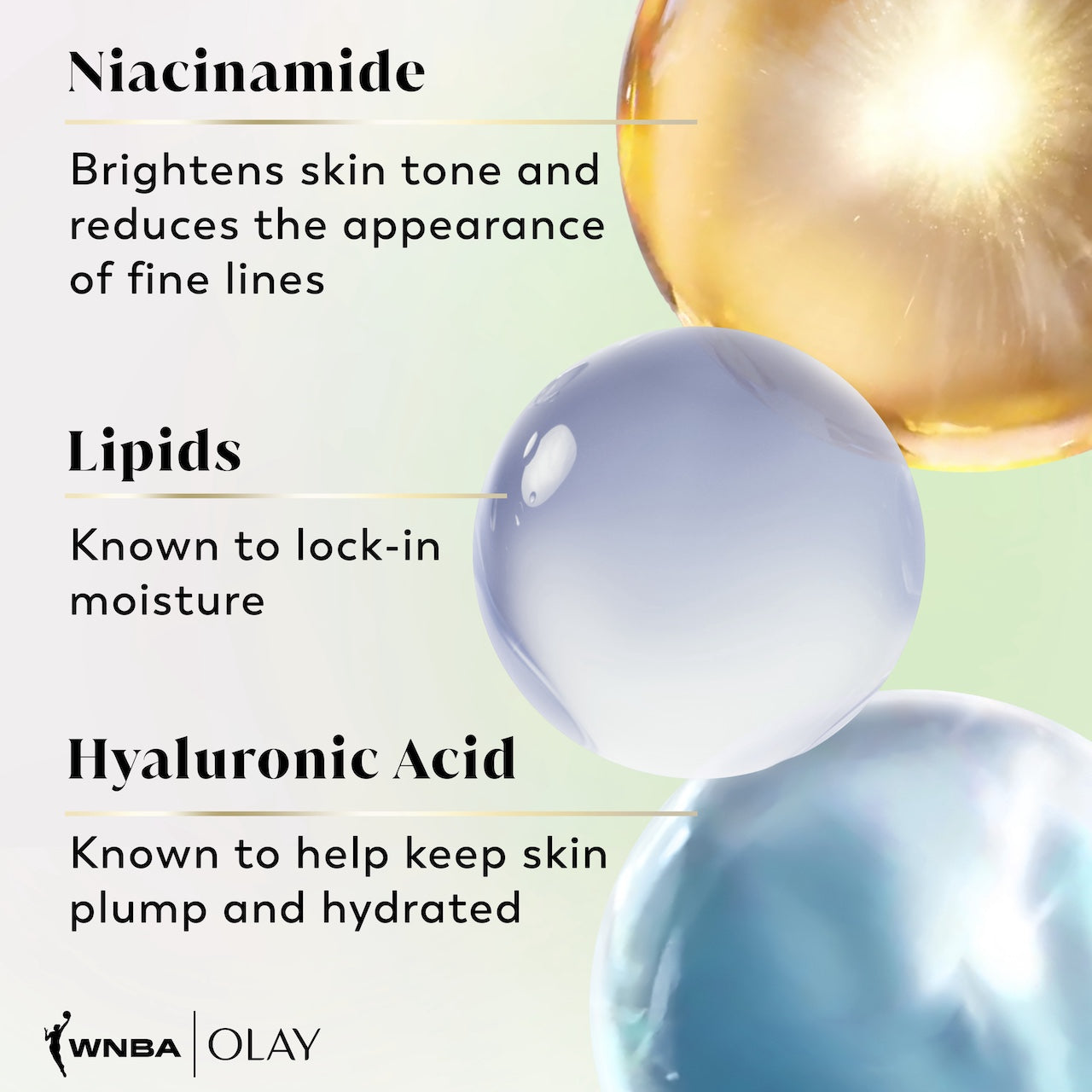 Ingredients. Niacinamide brightens skin tone and reduces the appearance of fine lines. Lipids known to lock in moisture. Hyaluronic Acid known to help keep skin plump and hydrated
